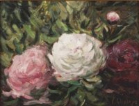Peonies jete de pivoines